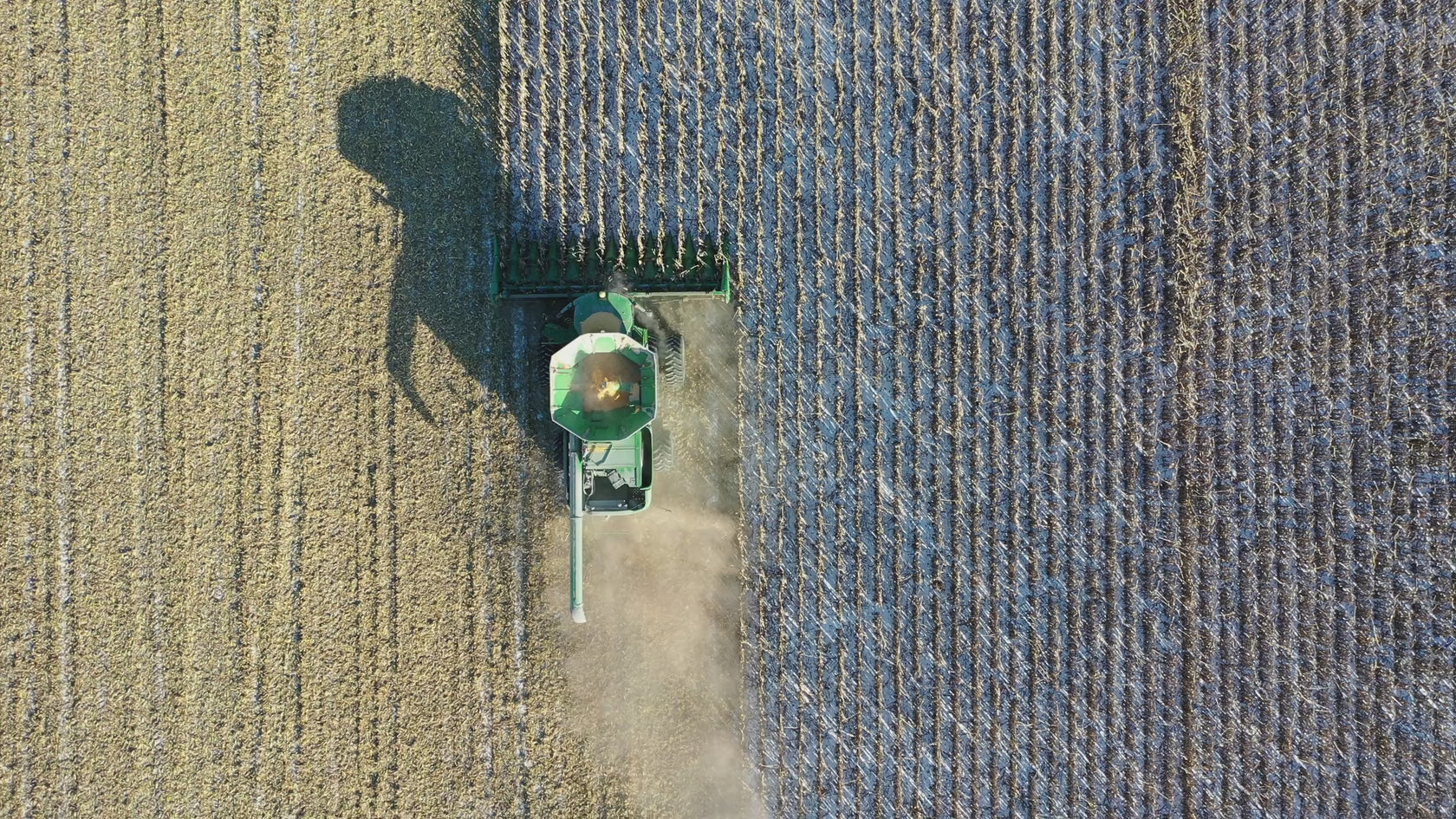 Tractor that uses Sinopec products harvesting